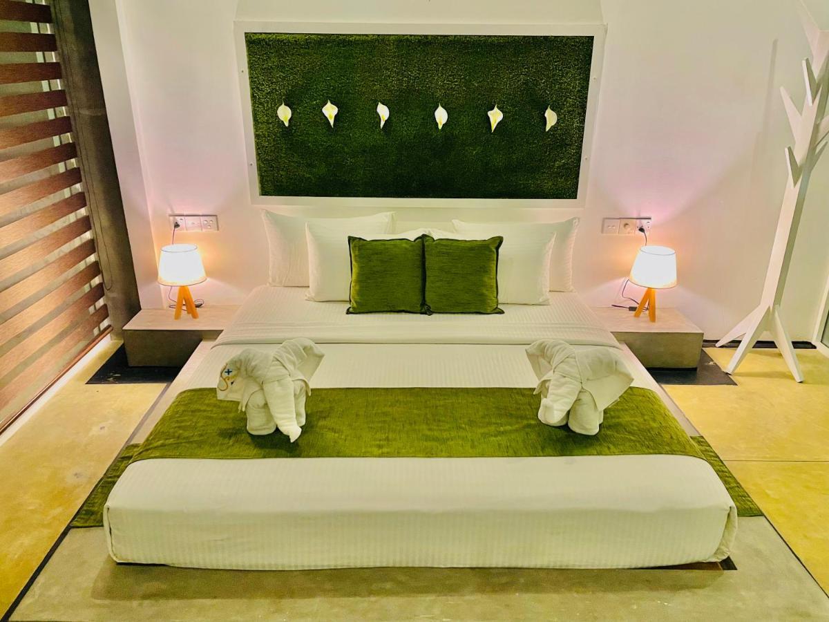 8 Plus Motels Νεγκόμπο Εξωτερικό φωτογραφία